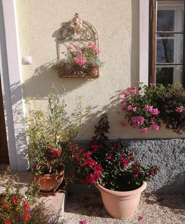 Marta'S House Guest House Bled Bagian luar foto