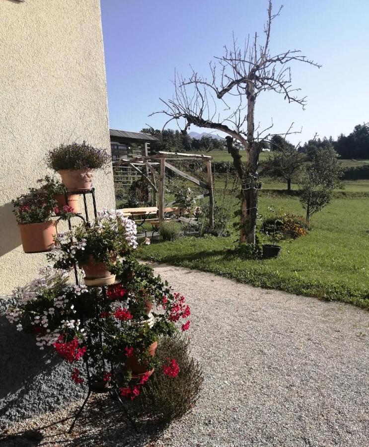 Marta'S House Guest House Bled Bagian luar foto
