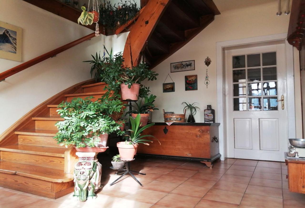 Marta'S House Guest House Bled Bagian luar foto