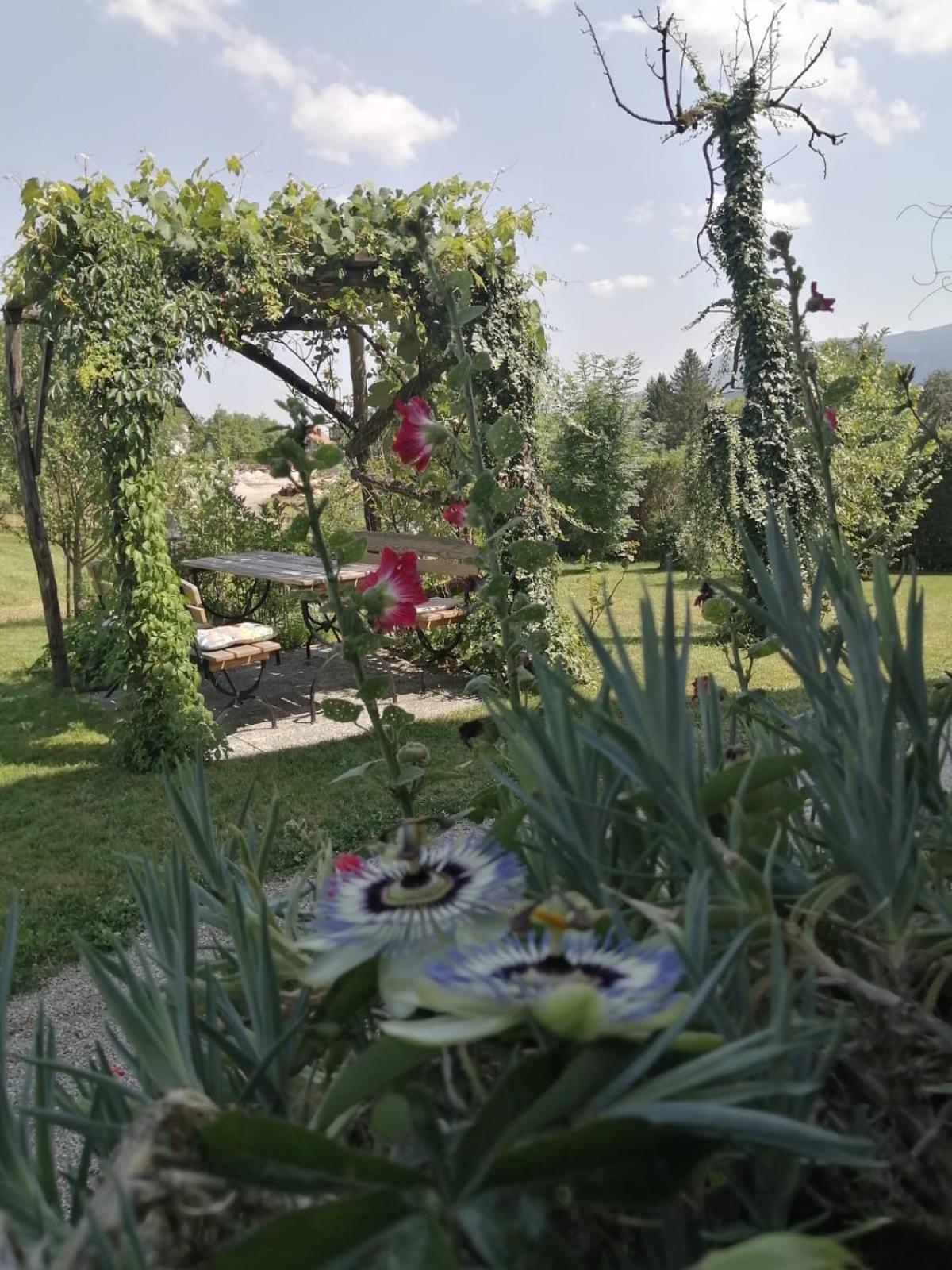 Marta'S House Guest House Bled Bagian luar foto